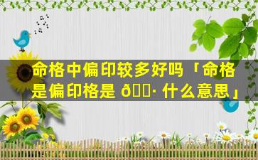 命格中偏印较多好吗「命格是偏印格是 🌷 什么意思」